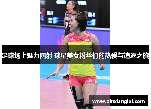 足球场上魅力四射 球星美女粉丝们的热爱与追逐之旅