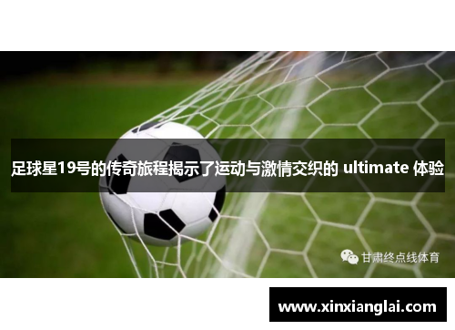 足球星19号的传奇旅程揭示了运动与激情交织的 ultimate 体验