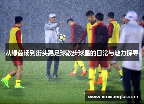 从绿茵场到街头踢足球散步球星的日常与魅力探寻