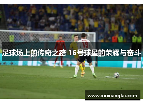 足球场上的传奇之路 16号球星的荣耀与奋斗
