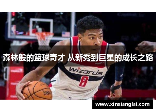 森林般的篮球奇才 从新秀到巨星的成长之路